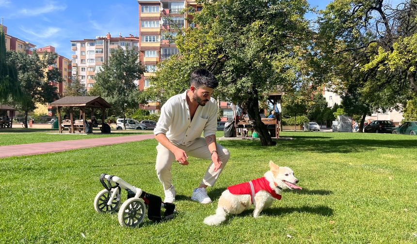 Eskişehir'de köpeği felç kaldıktan sonra Müslüman oldu