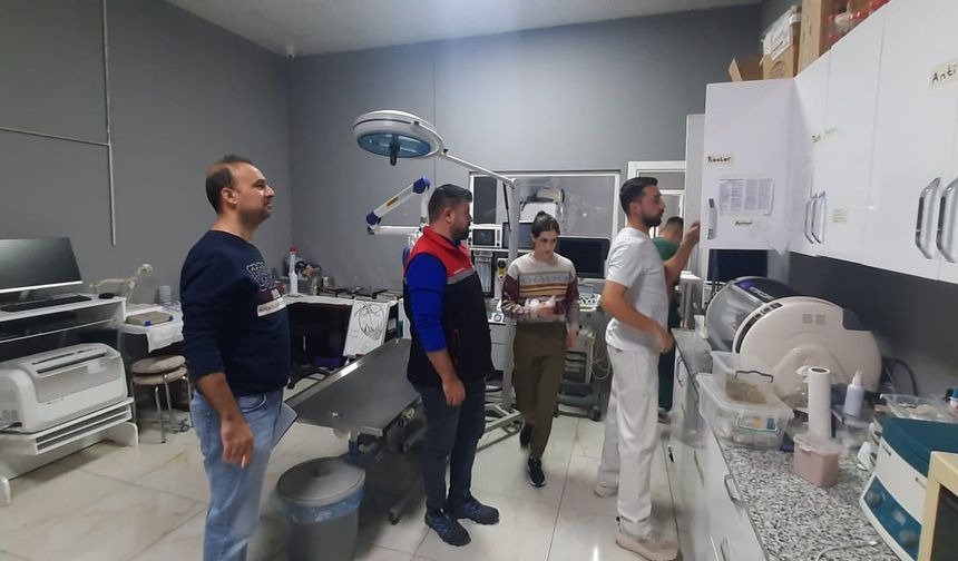 Eskişehir'de veteriner klinik, poliklinik ve hayvan hastaneleri denetleniyor