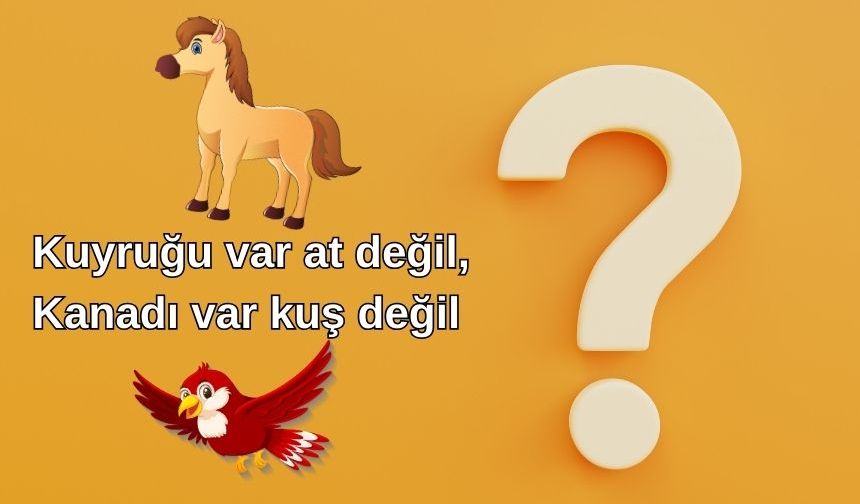 Kuyruğu Var At Değil Kanadı Var Kuş Değil Cevabı Nedir?