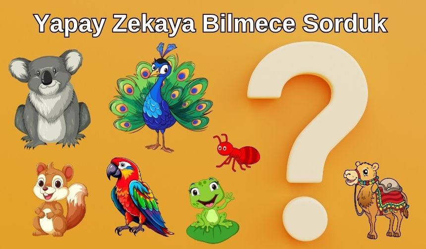 Yapay Zekaya Bilmece Sorduk! Adeta Saçmaladı!