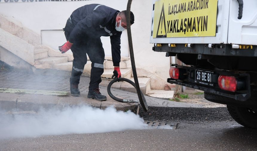 Odunpazarı’nda rögar ve kanalizasyonlarda kışlak mücadelesi