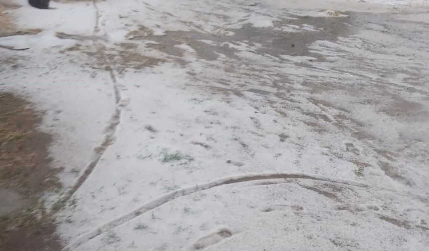 Seyitgazi’de 20 dakikada etkili olan dolu her yeri beyaza bürüdü