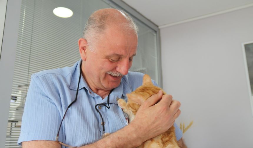 Kedisini veterinere götürürken ceza yedi, mahkeme iptal etti