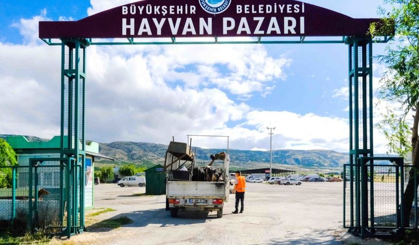 Eskişehir Hayvan Pazarı’nda kurbanlık yer satışları 20 Mayıs’ta başlıyor