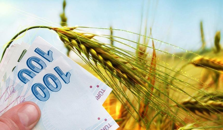 Eskişehir’de çiftçilere 38,7 milyon liralık destek ödemesi