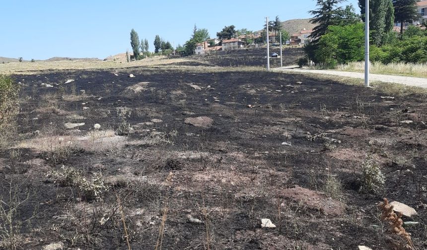 Eskişehir'de torpil yangını: 15 dönüm otluk alan kül oldu