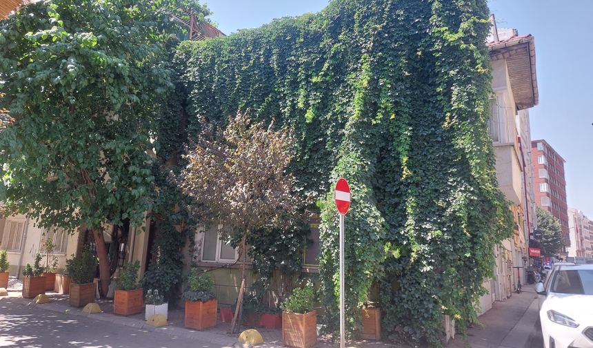 Eskişehir'de bu eve bakan hayran kalıyor