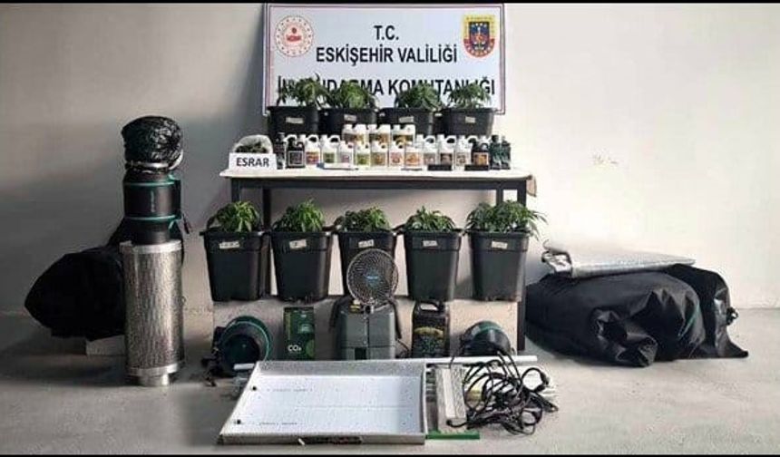 Eskişehir’de Kenevir Yetiştiren 3 Şüpheli Jandarma Operasyonuyla Yakalandı