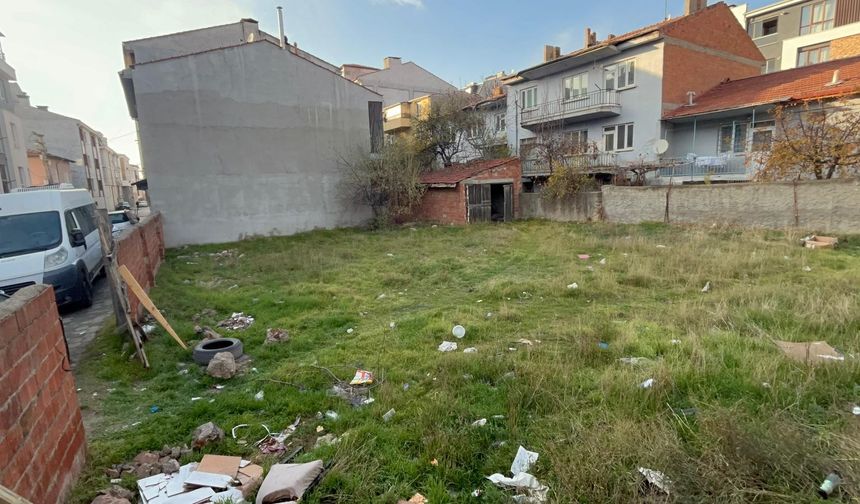 Eskişehir’de Boş Arsada 8 Kedi Ölü Bulundu