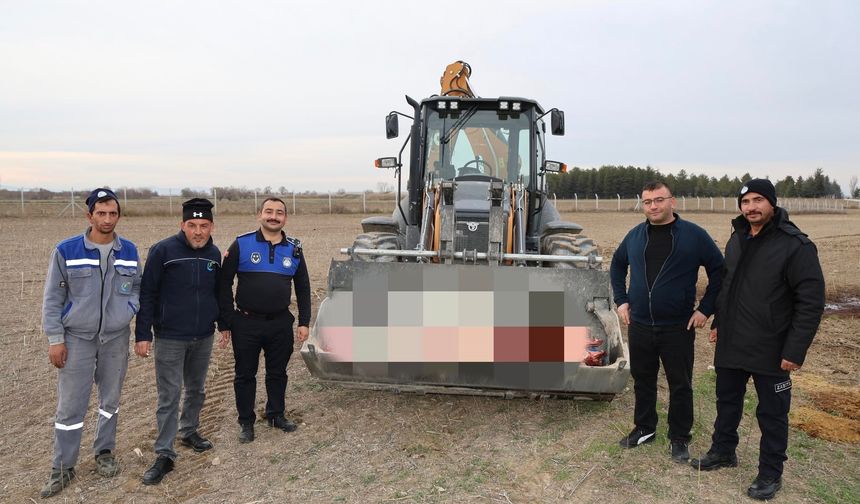 Çifteler’de Kaçak At Eti Operasyonu: 215 Kilo Et Ele Geçirildi