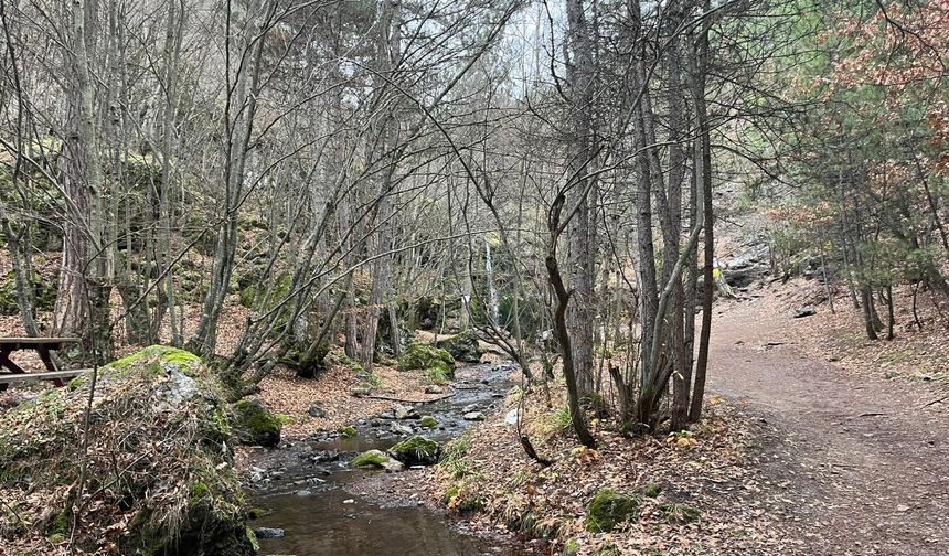 Beşikderesi’nde Kış Güzelliği ve Kuraklık Endişesi