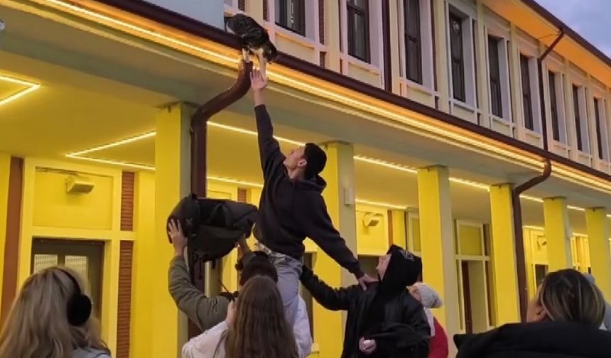 Çatıdaki Kedi, Kendini Kurtarmaya Çalışan Gençlerle Oyun Oynadı