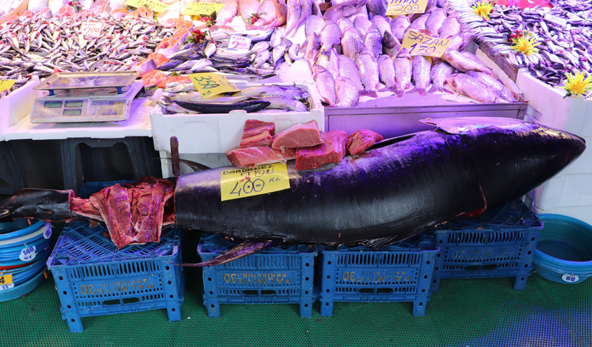 Eskişehir’de 280 Kiloluk Dev Orkinos Tezgahta Yerini Aldı