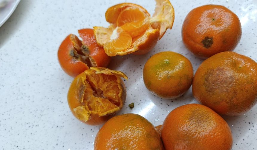 Eskişehir’de Pazardan Alınan Mandalinalar Tepki Çekti