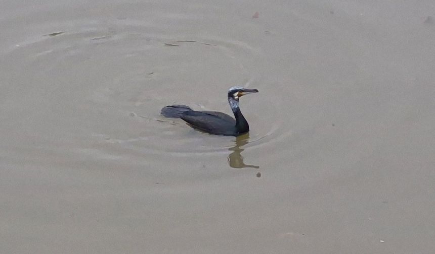 Eskişehir’de Sahte Radar Taklidi Yapan 2 Gence 173 Bin TL Ceza