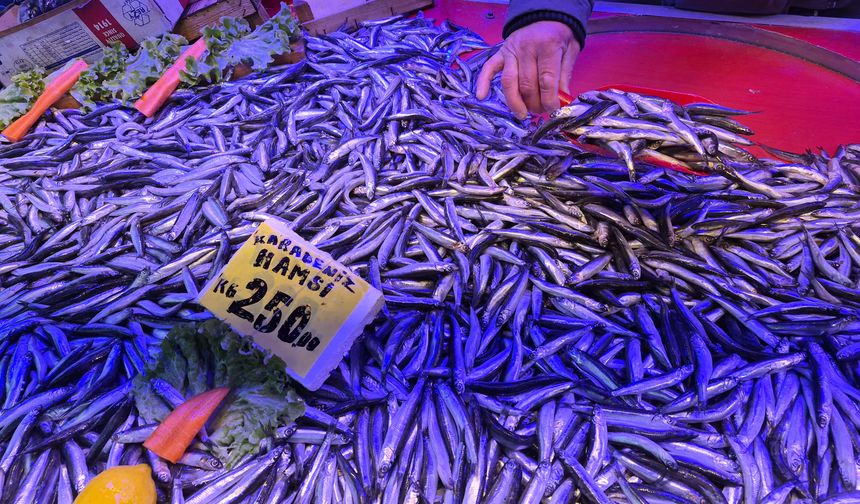 Sardalya Tezgahların Gözdesi Oldu: Kilosu 200 TL