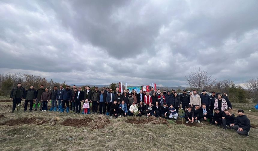 Mihalıççık’ta "Orman Haftası" coşkusu: 100 fidan toprakla buluştu
