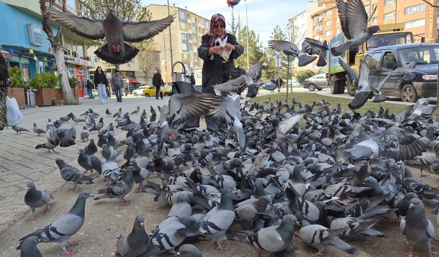 Naide Toy’un güvercin sevgisi çevredekilere huzur veriyor