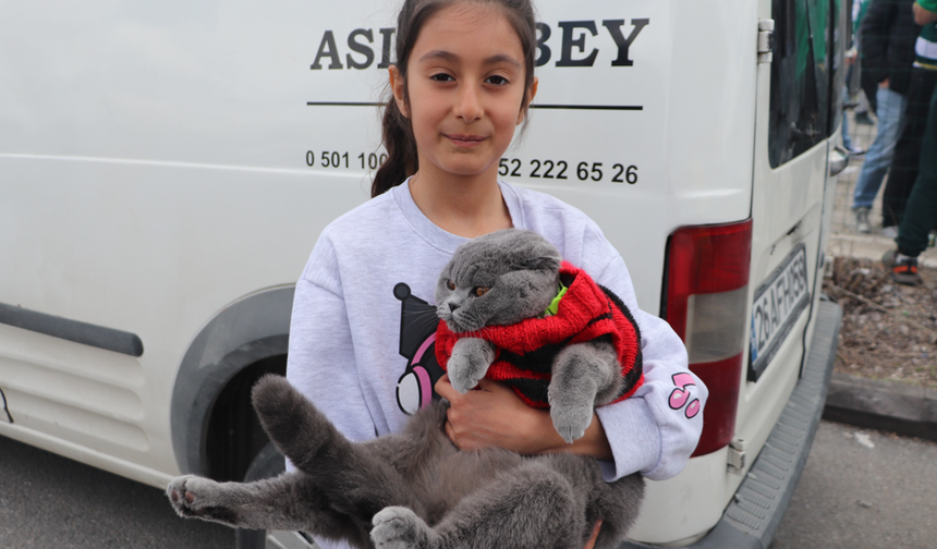 Eskişehirli Arife Masal ve kedisi bu kez Bursaspor için tribünde