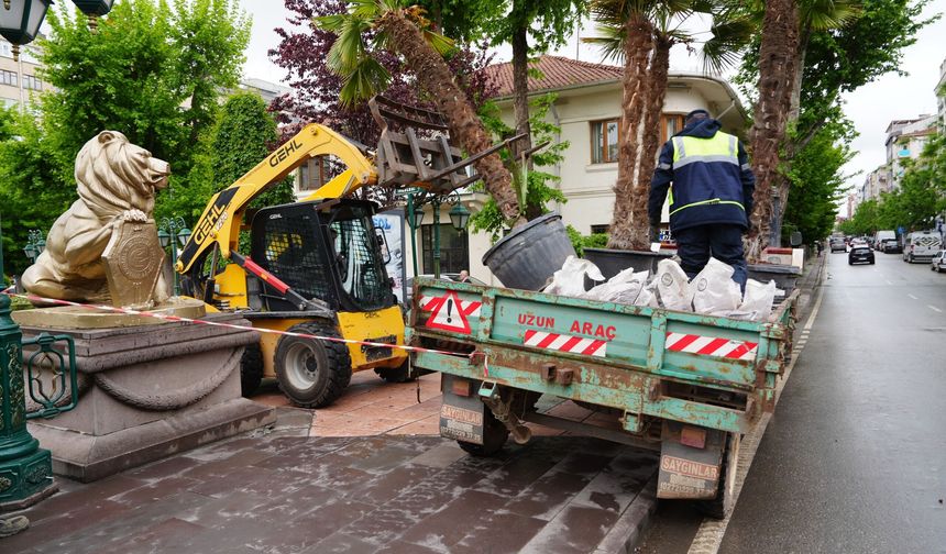 Palmiyeler Köprübaşı'ndaki Yerini Aldı