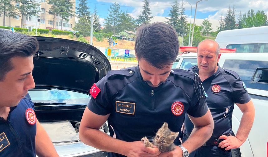 Motor bölmesinde mahsur kalan kediyi itfaiye kurtardı