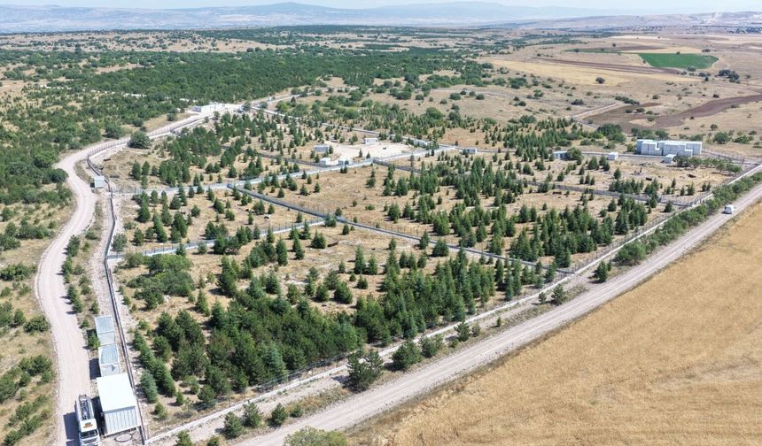 Kıravdan'da sahipsiz hayvanlar için yeni doğal yaşam alanı açıldı