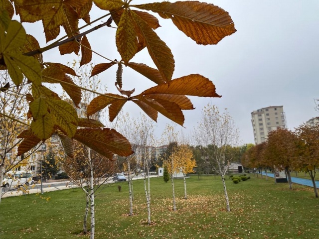 Eskişehir kent merkezindeki parklar, sonbahar manzaralarıyla göz dolduruyor.