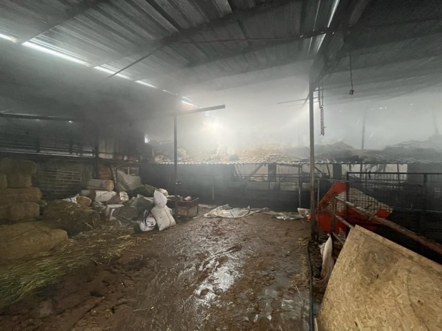 Eskişehir'deki ağıl yangınında 80 hayvan telef oldu