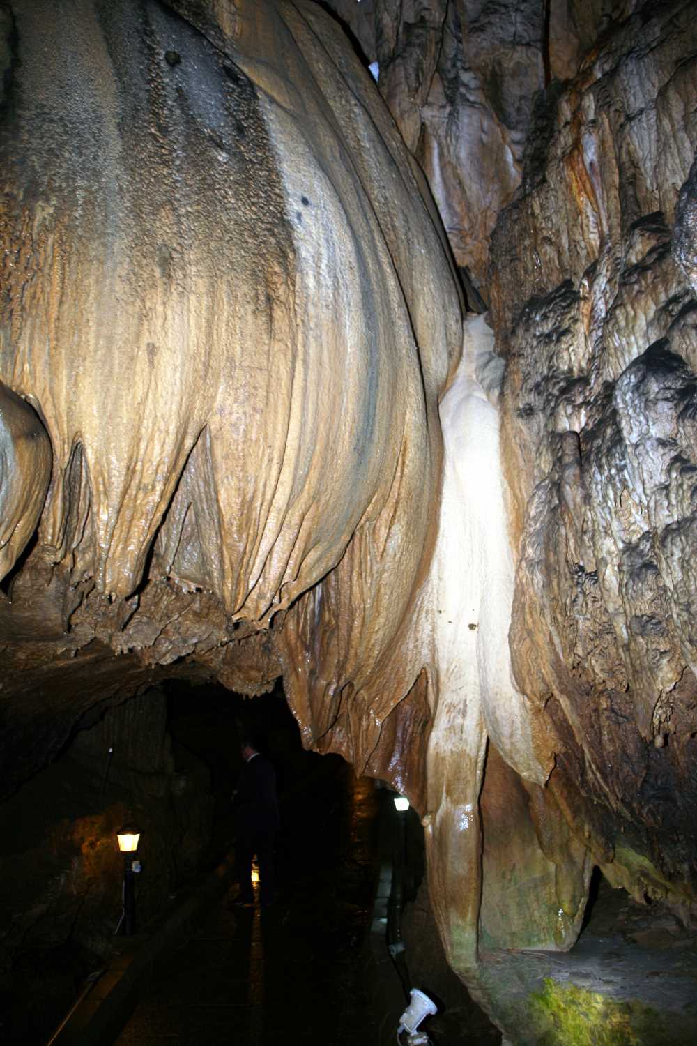 Zonguldak Gökgöl Mağarası 1