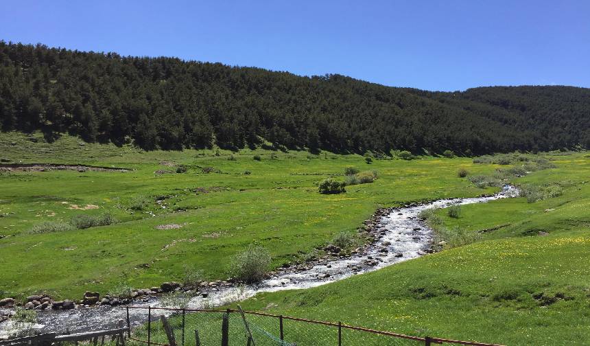 Ardahanin En Guzel Koyu Hangisi (2)