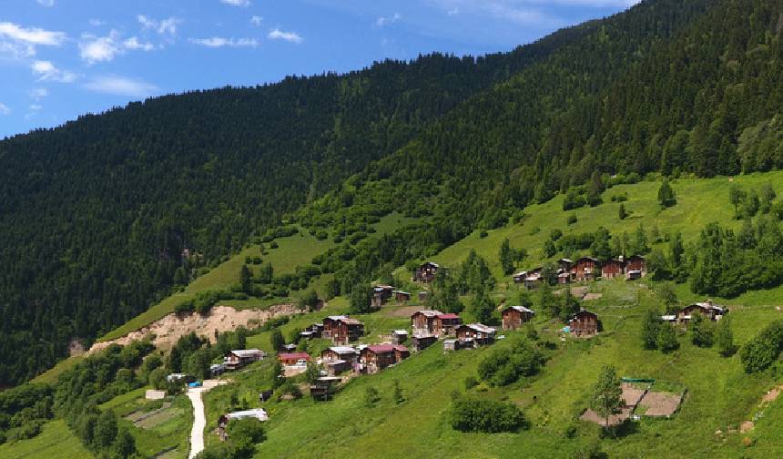 Rizenin En Guzel Koyu Hangisi (5)