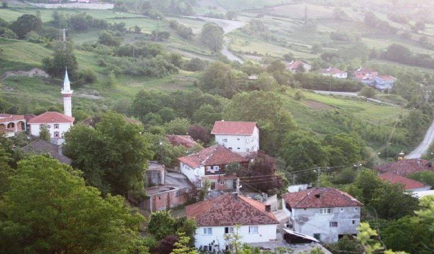 Sinopun En Guzel Koyu Hangisi (2)