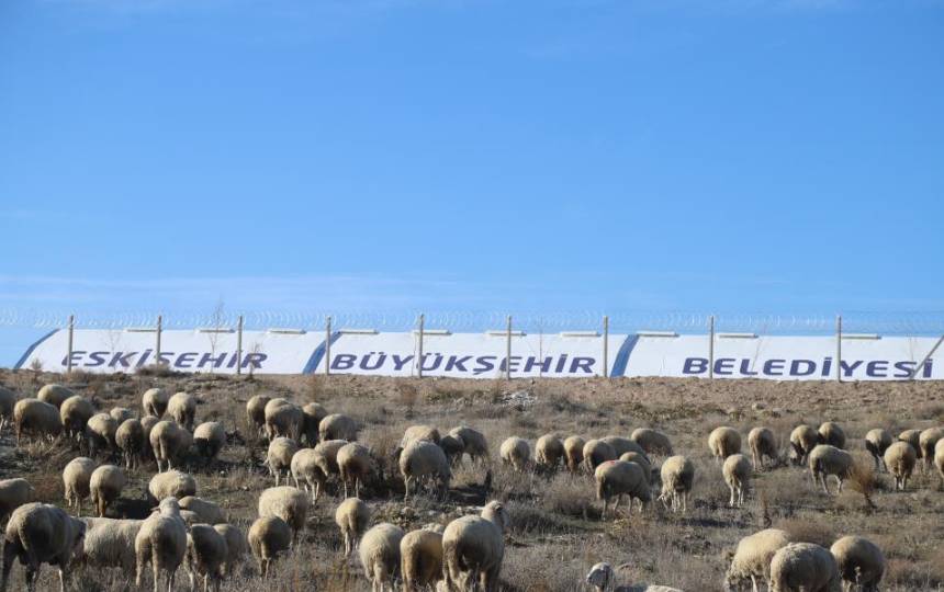 Eskisehir Belediyesi Alpu Ve Seyitgazi Ilcelerinde Kucukbas Destegi Veriyor (3)