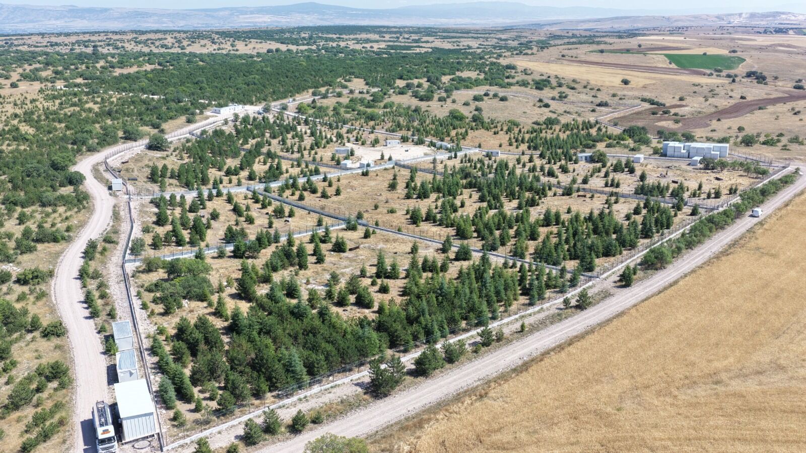 Kıravdan'da sahipsiz hayvanlar için yeni doğal yaşam alanı açıldı